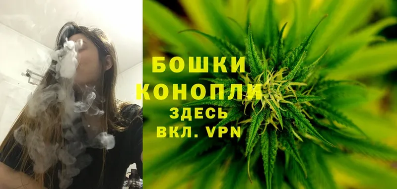 Бошки марихуана THC 21%  Жигулёвск 